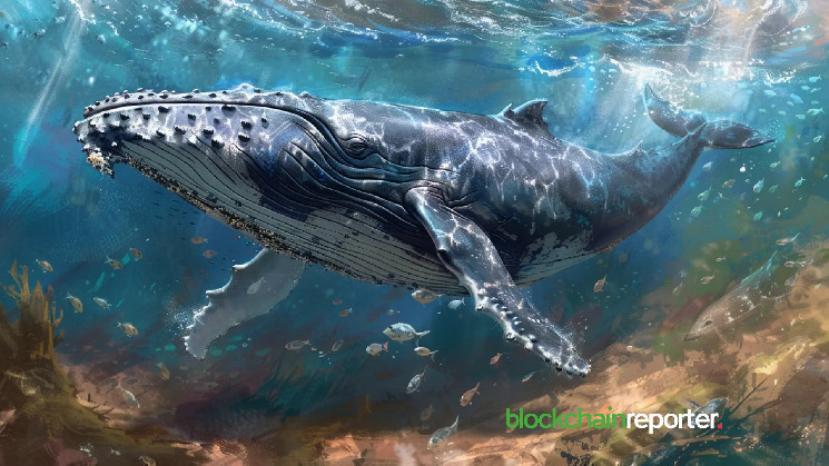 Whale's $13.8 million Ethereum purchase
