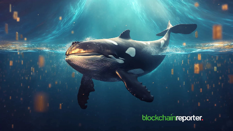 Deposit 2,325 bnbs in the binance after 5 years