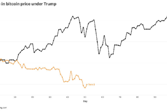 Bitcoin performed well during Trump's first term as president