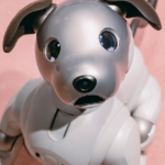 Sony's Ivo Robot Dog is back