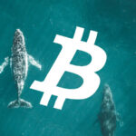 "The whale went into Bitcoin short for $88,000," the analytics company explains what it means.