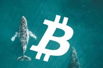 "The whale went into Bitcoin short for $88,000," the analytics company explains what it means.