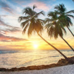 Former Bittrex executive returns to Barbados Licensed Insurance Firm to raise $40 million from Bitcoin