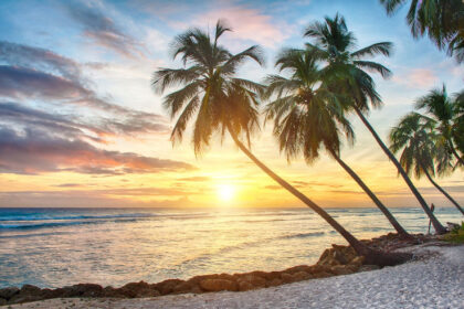 Former Bittrex executive returns to Barbados Licensed Insurance Firm to raise $40 million from Bitcoin
