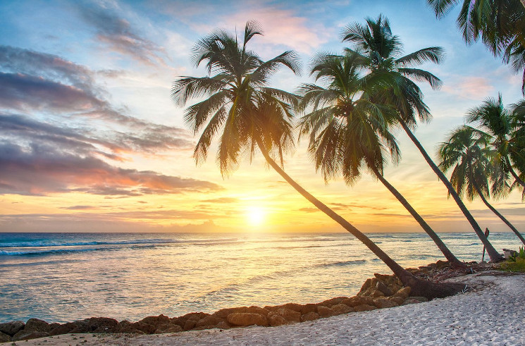 Former Bittrex executive returns to Barbados Licensed Insurance Firm to raise $40 million from Bitcoin