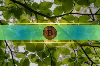 Is Bitcoin recovery nearby? Chain signal that needs to be displayed