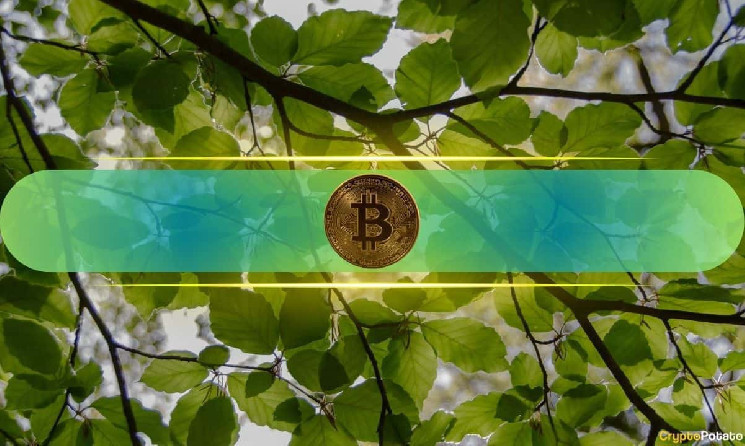 Is Bitcoin recovery nearby? Chain signal that needs to be displayed