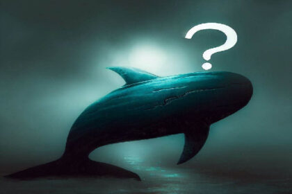 The mysterious giant whale known as the 50x ETH whale has closed his Bitcoin status with profits! Now he's started buying this altcoin! - Zachxbt warned!