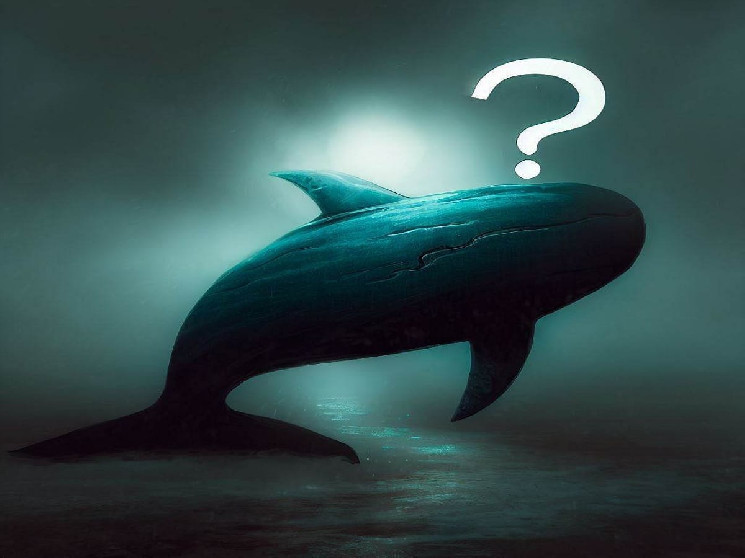 The mysterious giant whale known as the 50x ETH whale has closed his Bitcoin status with profits! Now he's started buying this altcoin! - Zachxbt warned!