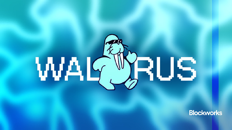 Mysten Labs' walruses can change decentralized games and apps