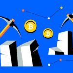 US authorities will begin releasing several seized cryptocurrency miners, industry executives say