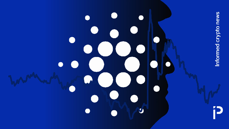 Cardano has lost $1.5 billion since Trump rejected his strategic reserve promise