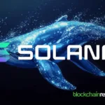 $151 million profit after staking at Crypto Whale Nets Solana
