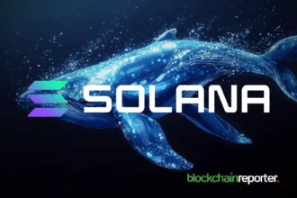 $151 million profit after staking at Crypto Whale Nets Solana