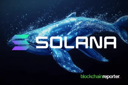 $151 million profit after staking at Crypto Whale Nets Solana