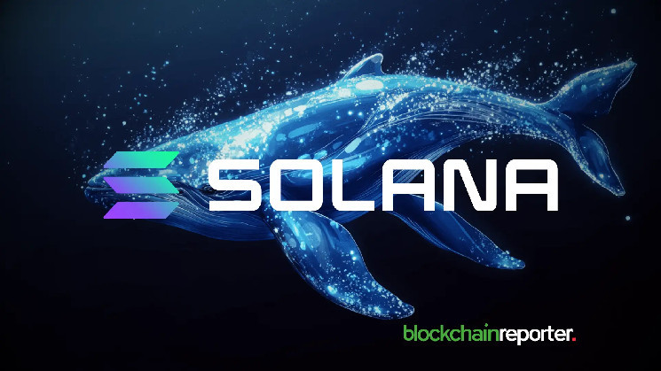 $151 million profit after staking at Crypto Whale Nets Solana