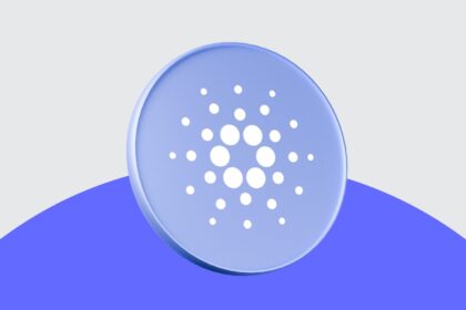Polkadot DOT