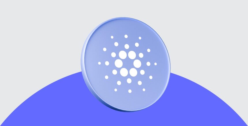Polkadot DOT