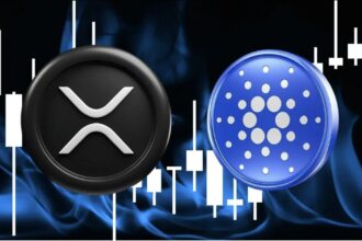 ADA vs XRP