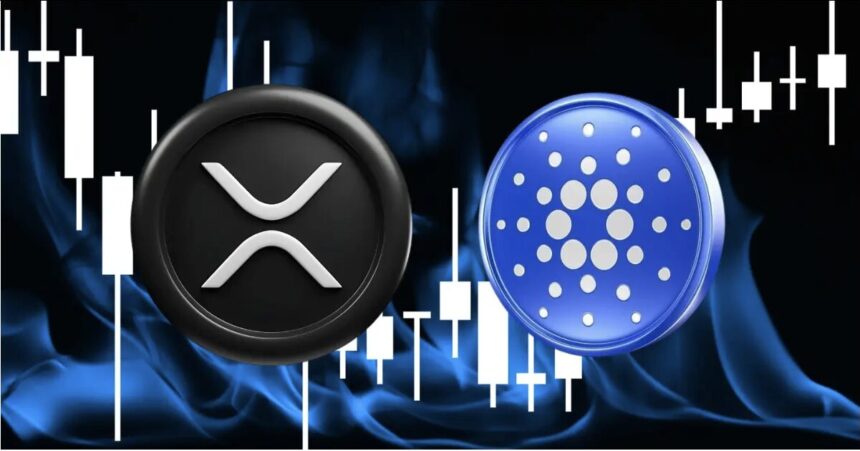 ADA vs XRP