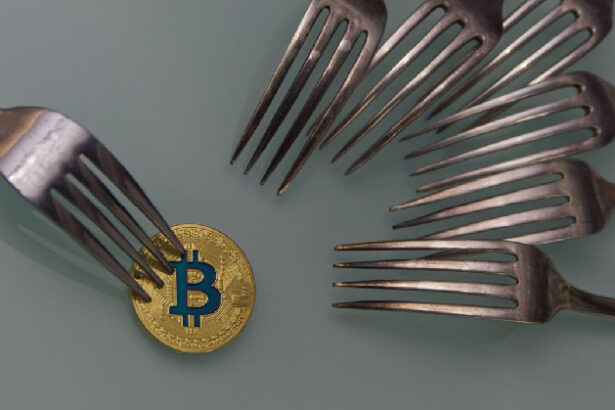 Corbin Fraser sets a straightforward record of the origins of Bitcoin Cash