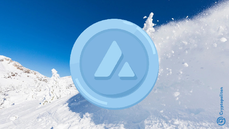 Three major Avalanche Foundation board members have resigned, what is happening?