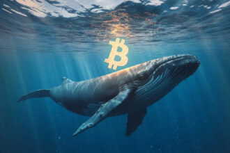 Why does Bitcoin price not rise? Do whales use this tactic?