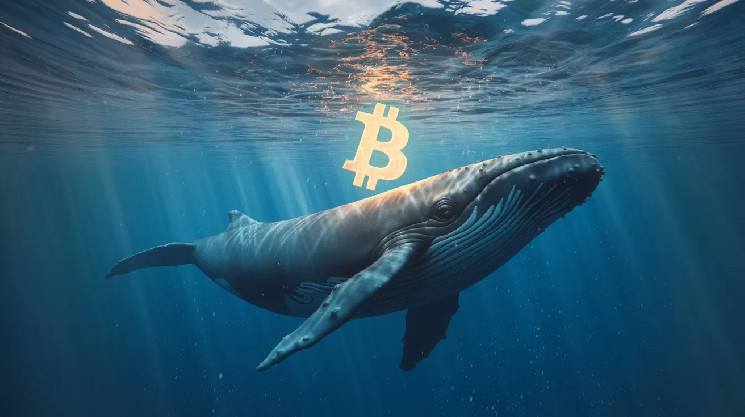 Why does Bitcoin price not rise? Do whales use this tactic?