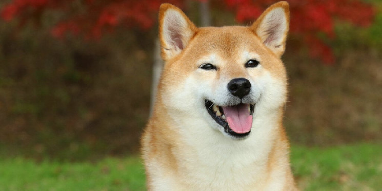 Doge Barks - What meme coins are making a comeback?