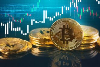 Black Rock Director warns how Bitcoin prices will continue