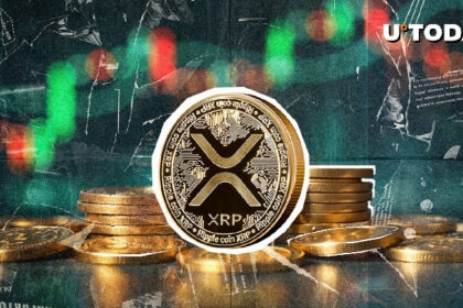 Wyscript comments on XRP's resilience