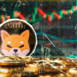 15,566,450 shib at a time: What happened?