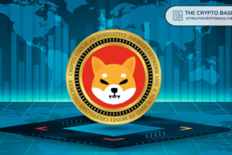 Despite many achievements, here's why Shiba Inu remains Meme Coin
