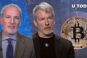 Major Bitcoin Demand Catalyst Revealed by Peter Schiff: Details