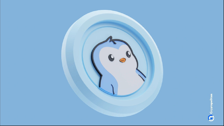 Pudgy Penguin Penguin Canary Capital File S-1 for NFT ETFs